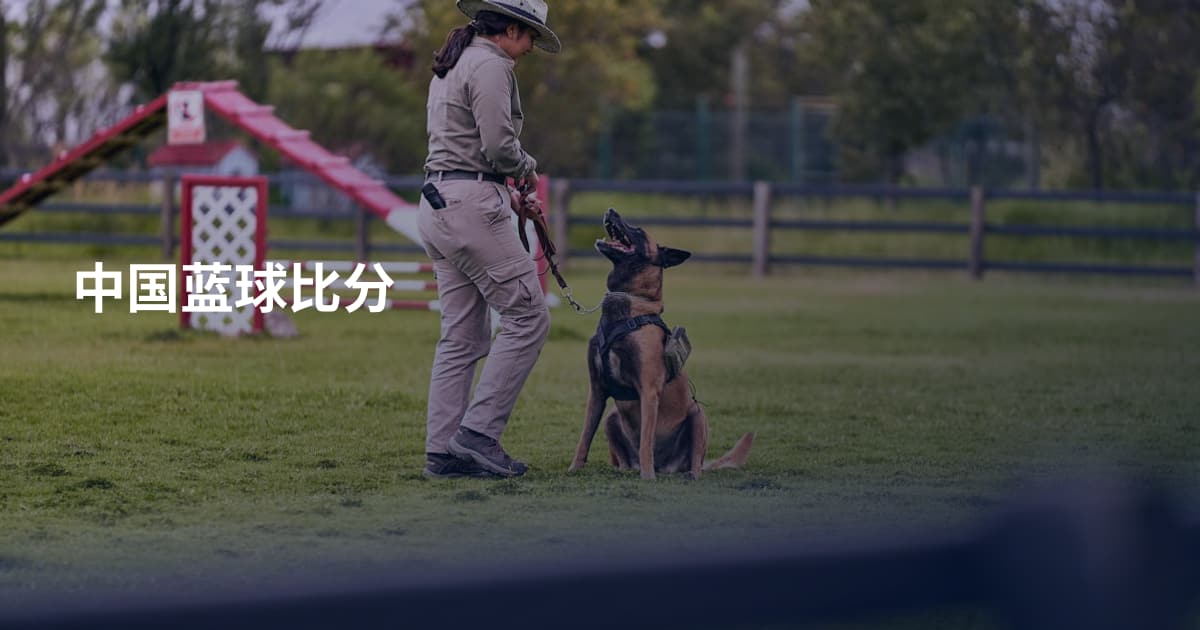 中国蓝球比分