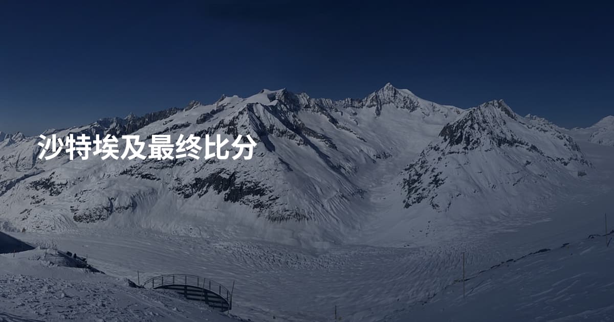 沙特埃及最终比分