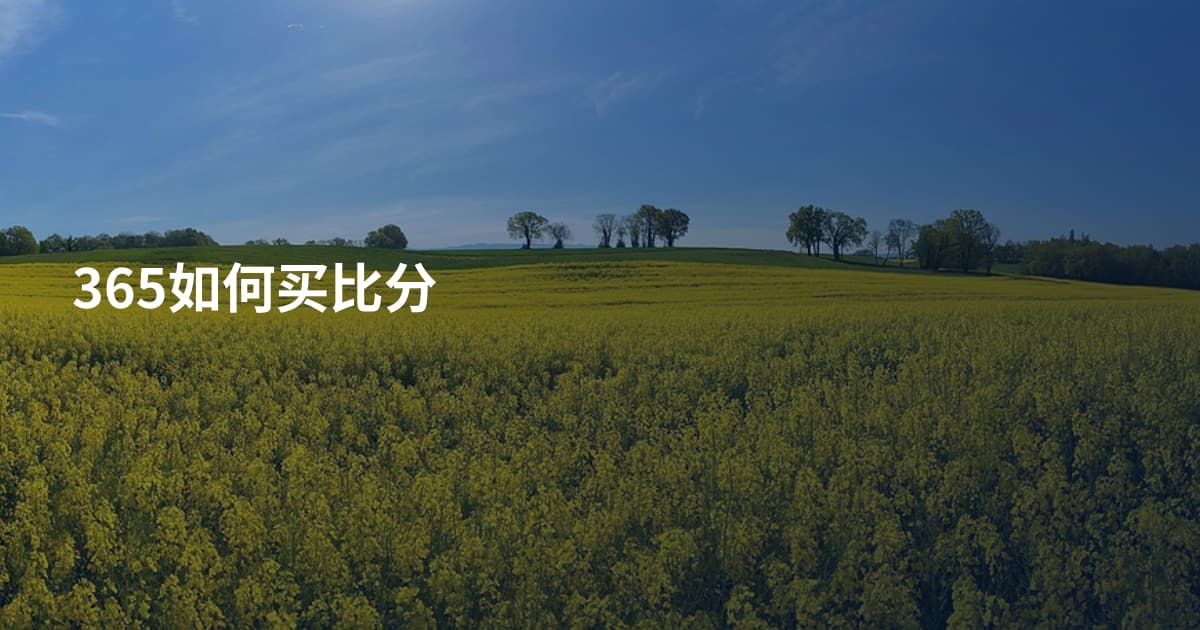 365如何买比分