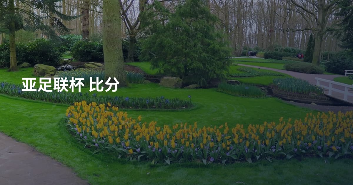亚足联杯 比分