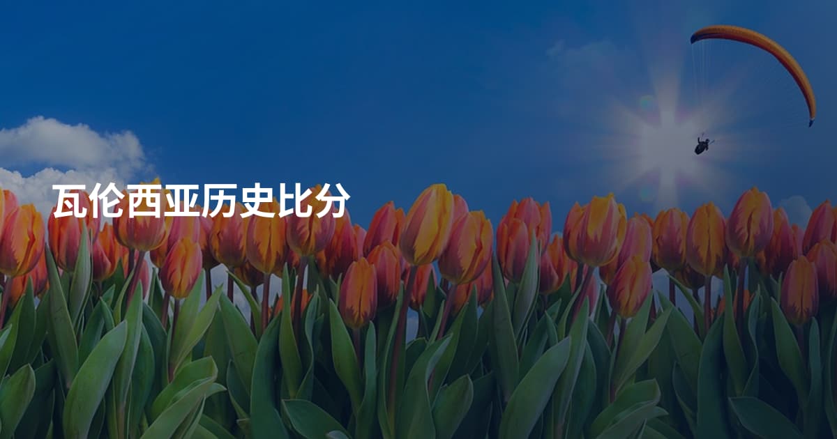 瓦伦西亚历史比分