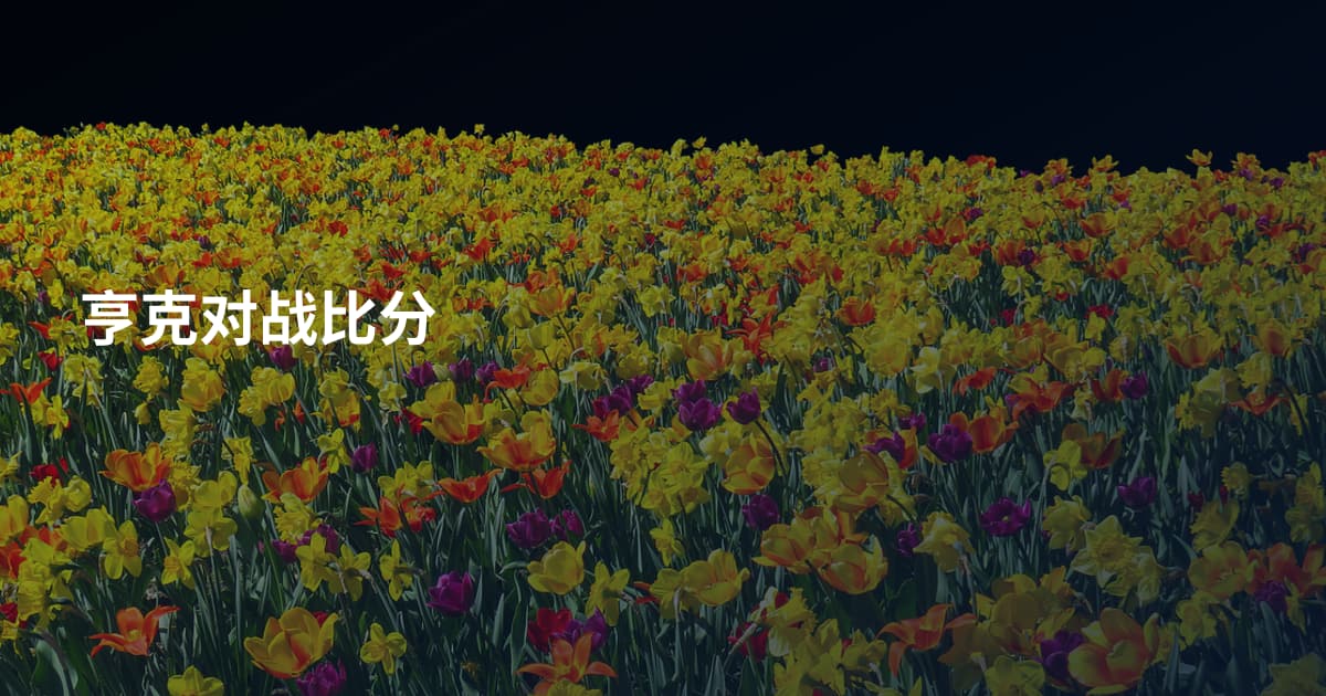 亨克对战比分