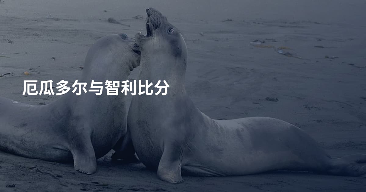 厄瓜多尔与智利比分