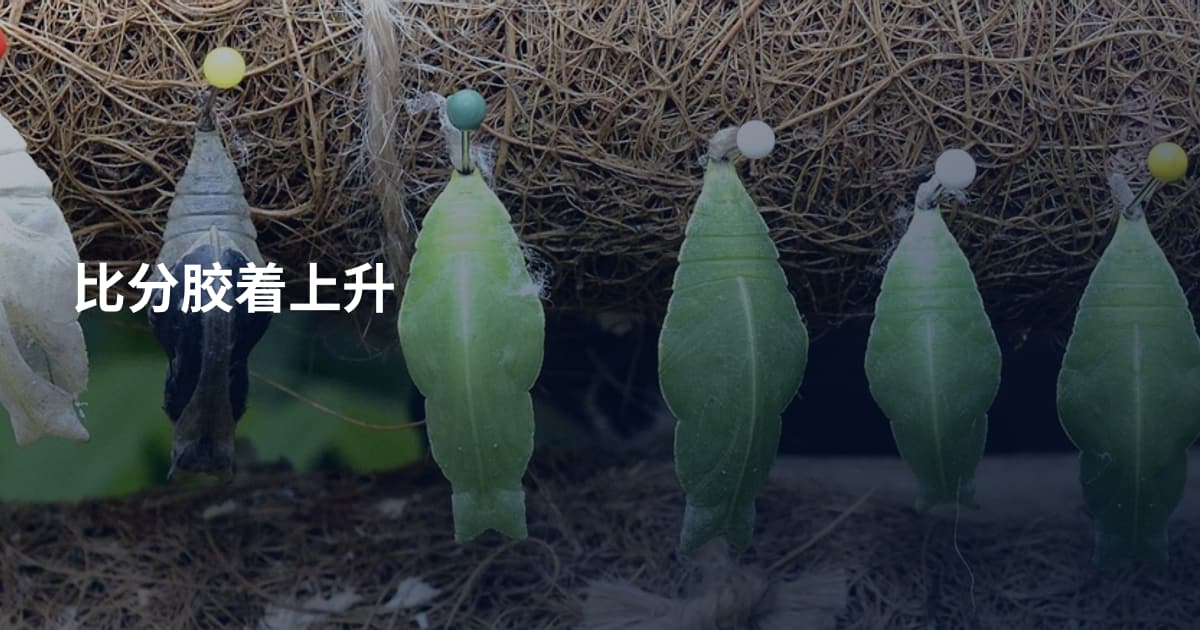 比分胶着上升