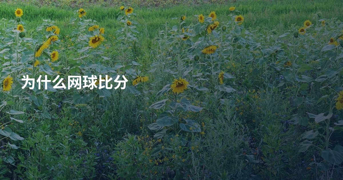 为什么网球比分