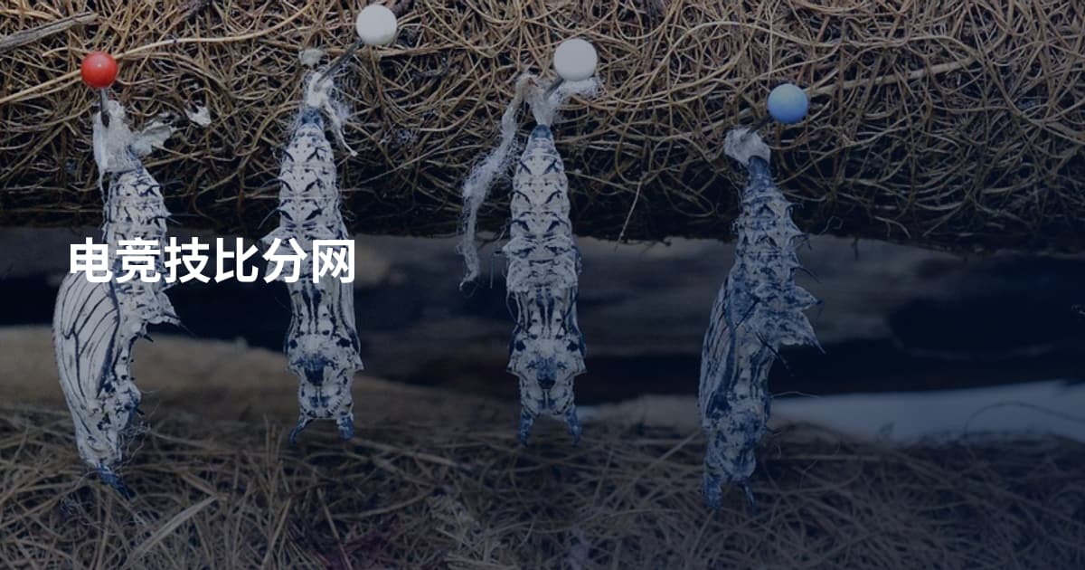 电竞技比分网