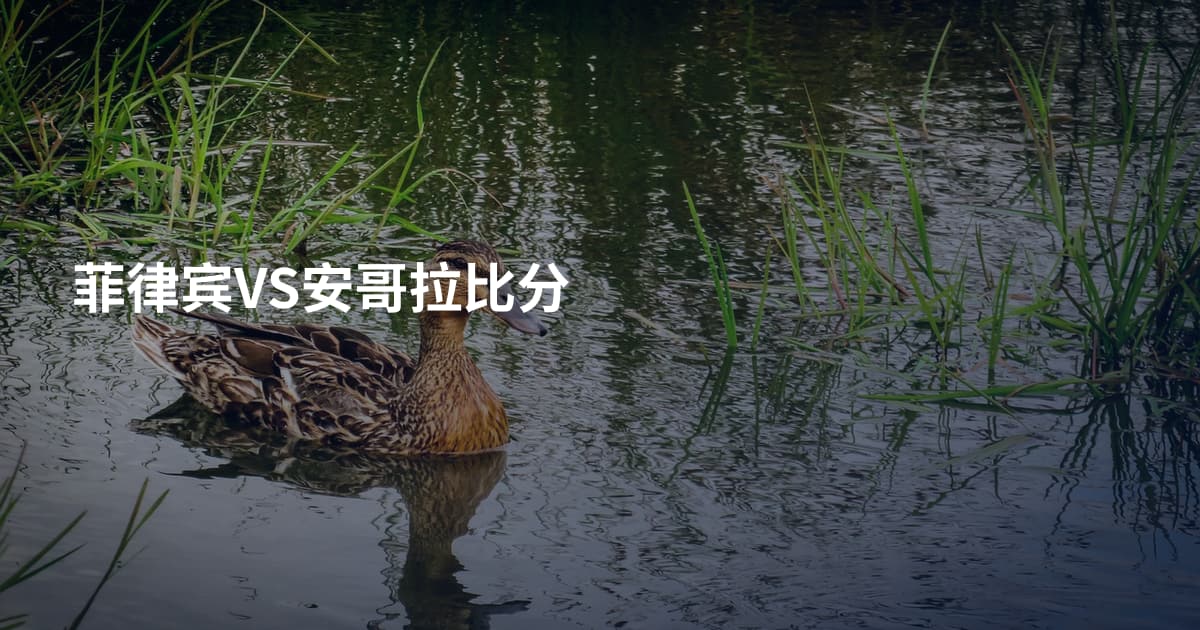 菲律宾VS安哥拉比分