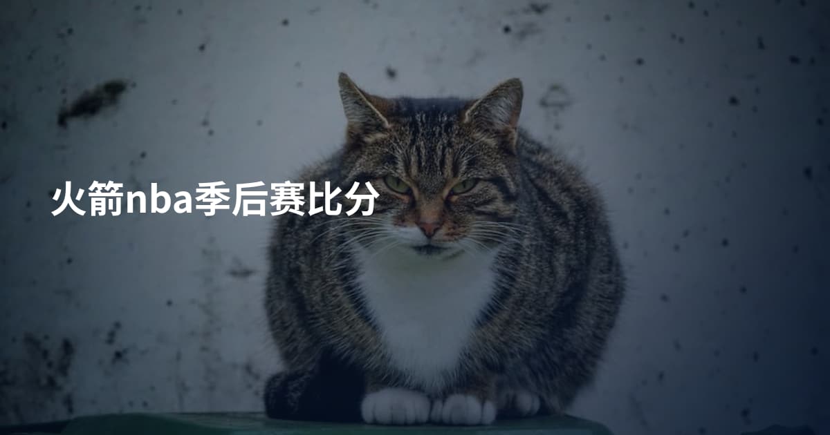 火箭nba季后赛比分