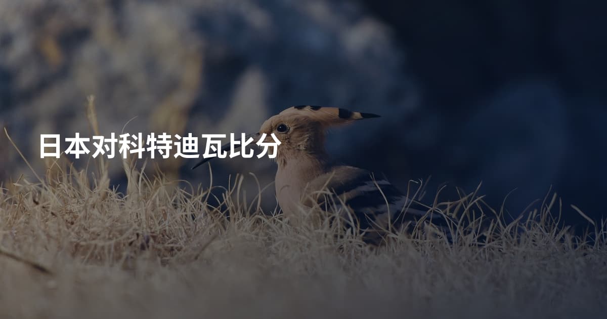日本对科特迪瓦比分