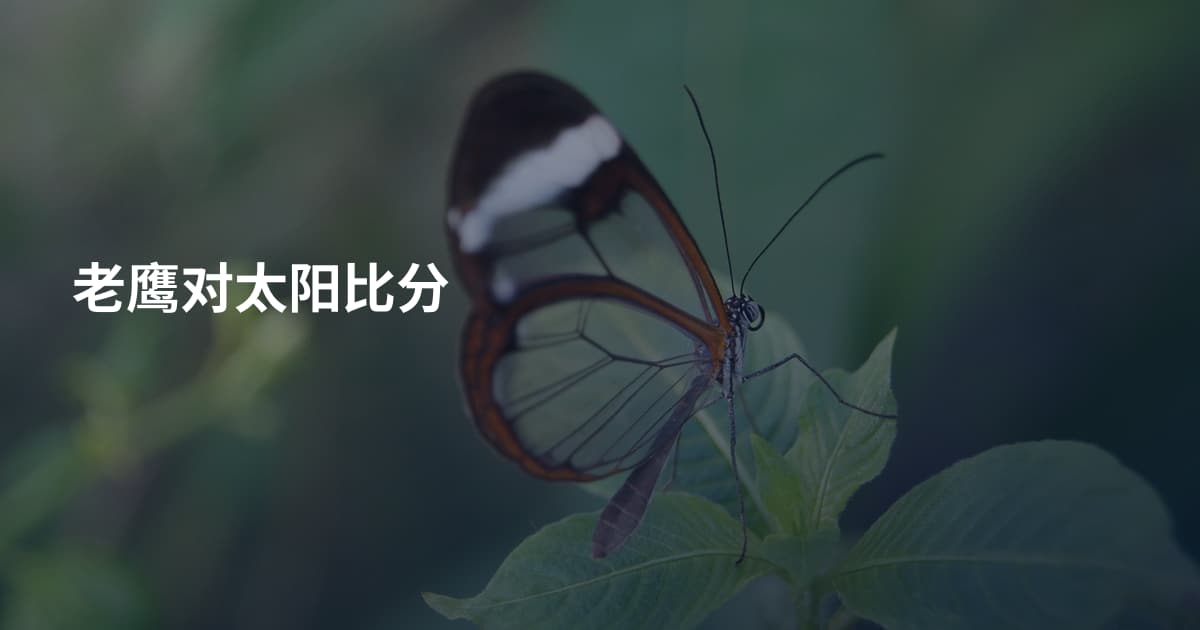老鹰对太阳比分
