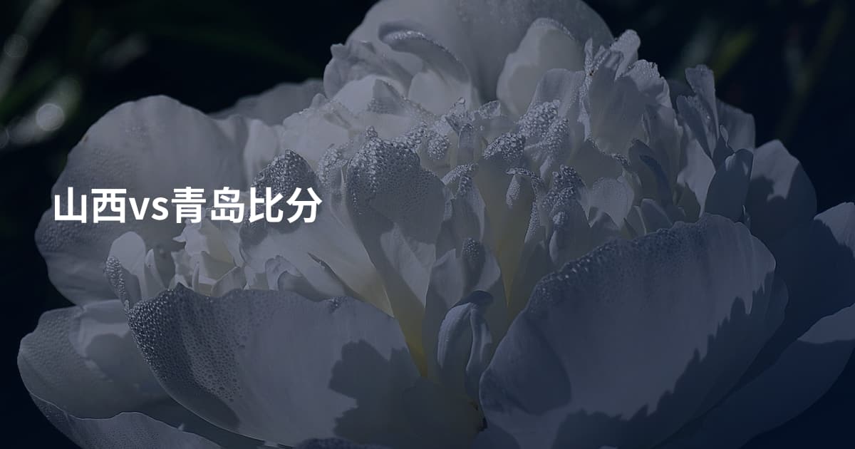 山西vs青岛比分