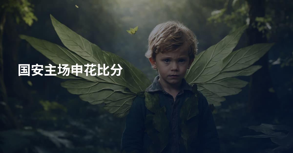 国安主场申花比分