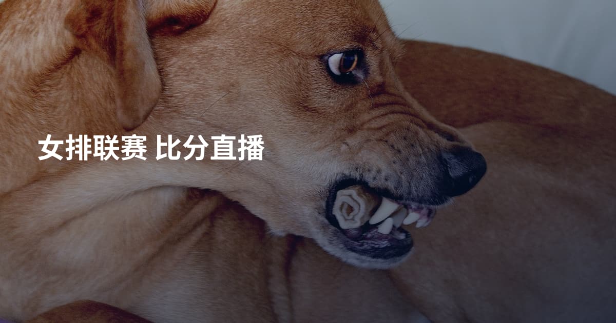 女排联赛 比分直播