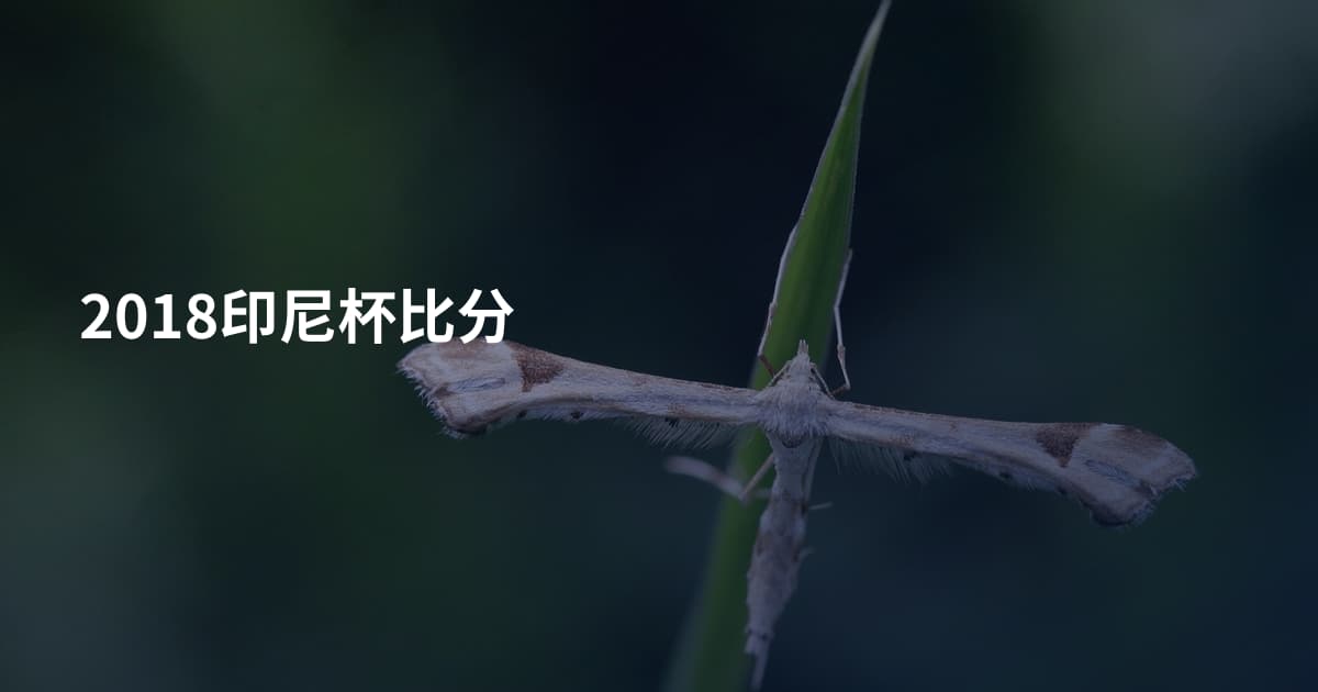 2018印尼杯比分
