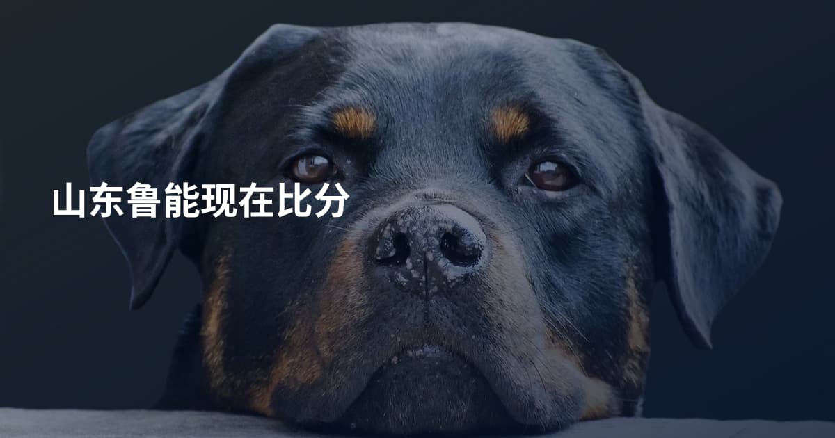 山东鲁能现在比分