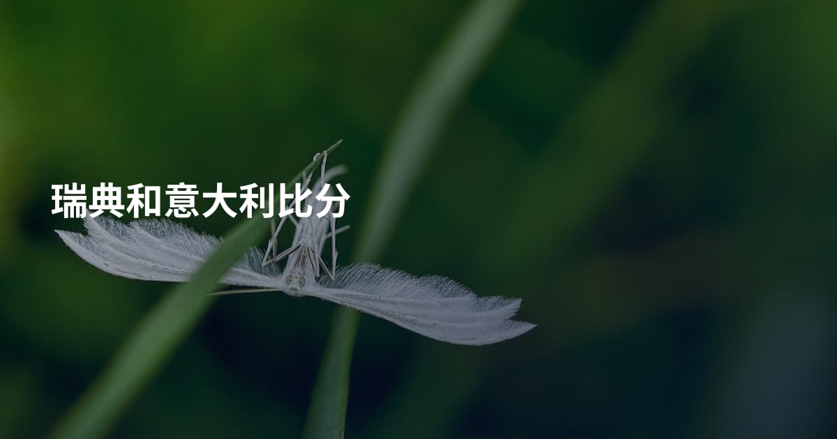 瑞典和意大利比分