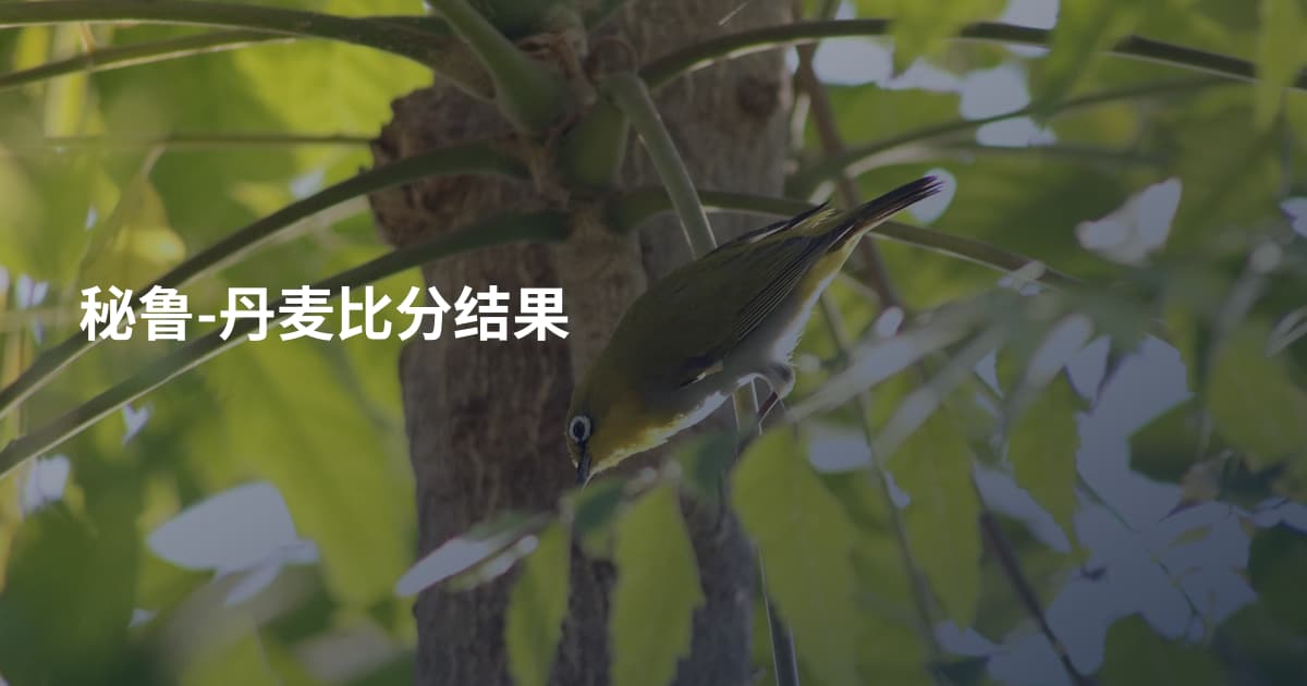 秘鲁-丹麦比分结果