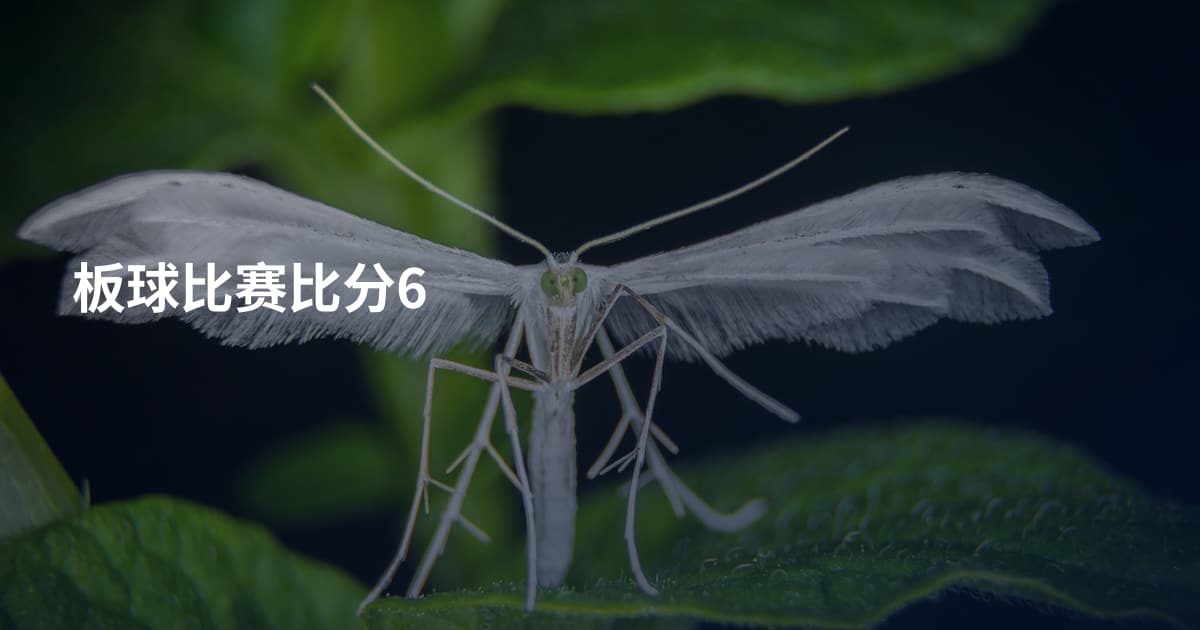 板球比赛比分6