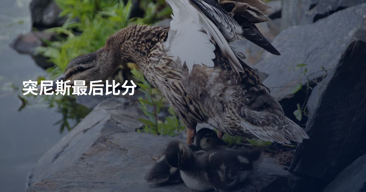 突尼斯最后比分