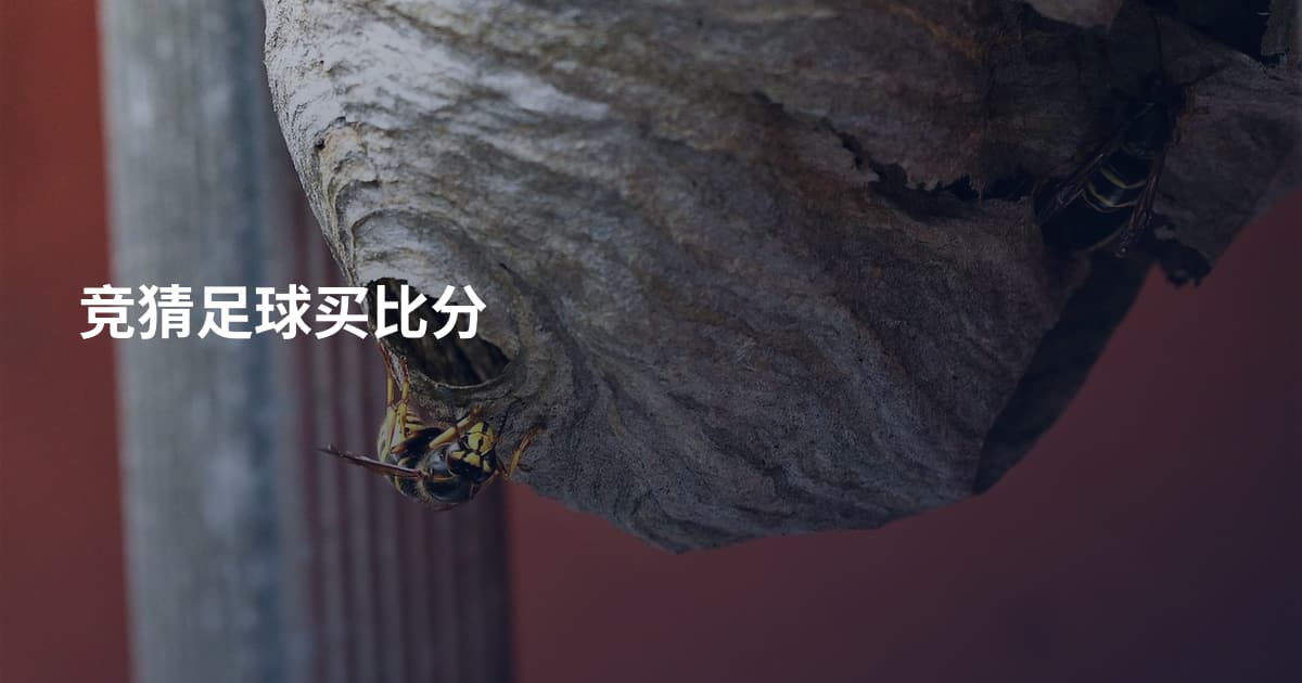 竞猜足球买比分