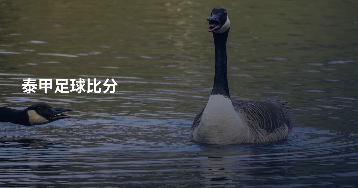 泰甲足球比分
