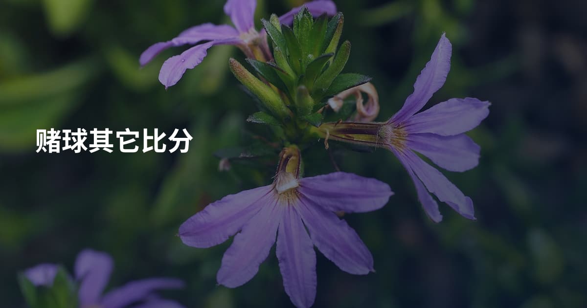 赌球其它比分