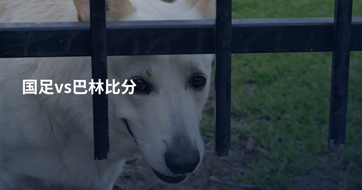 国足vs巴林比分