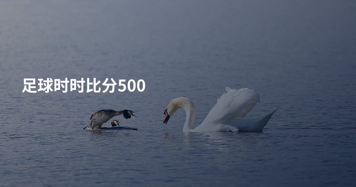 足球时时比分500