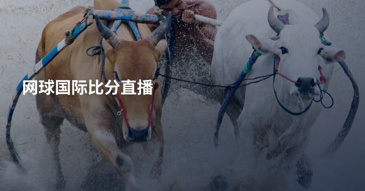 网球国际比分直播