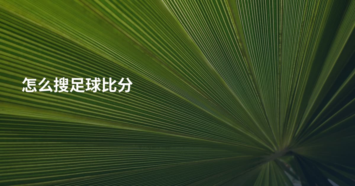怎么搜足球比分