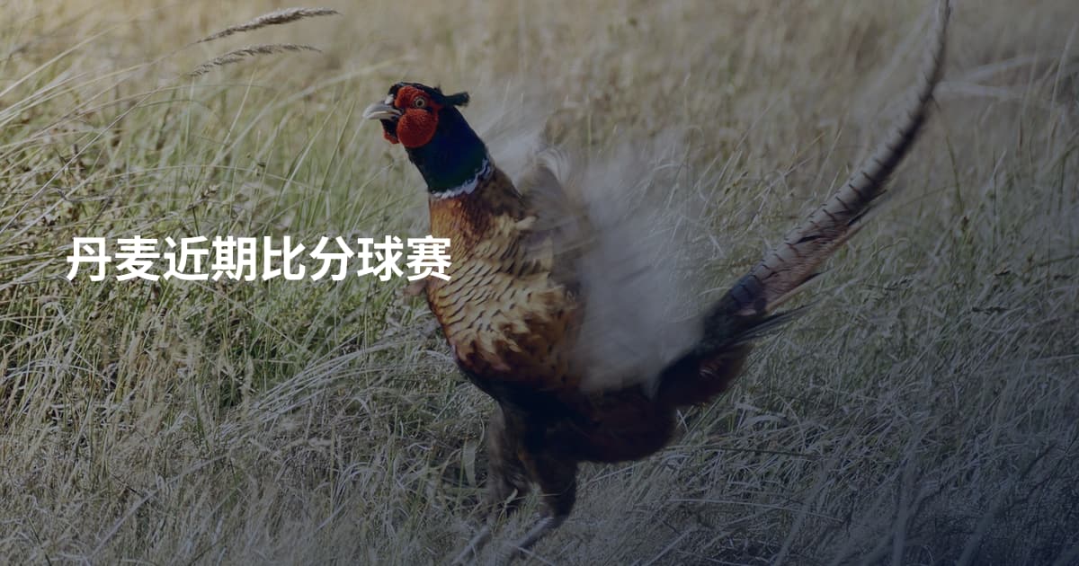 丹麦近期比分球赛