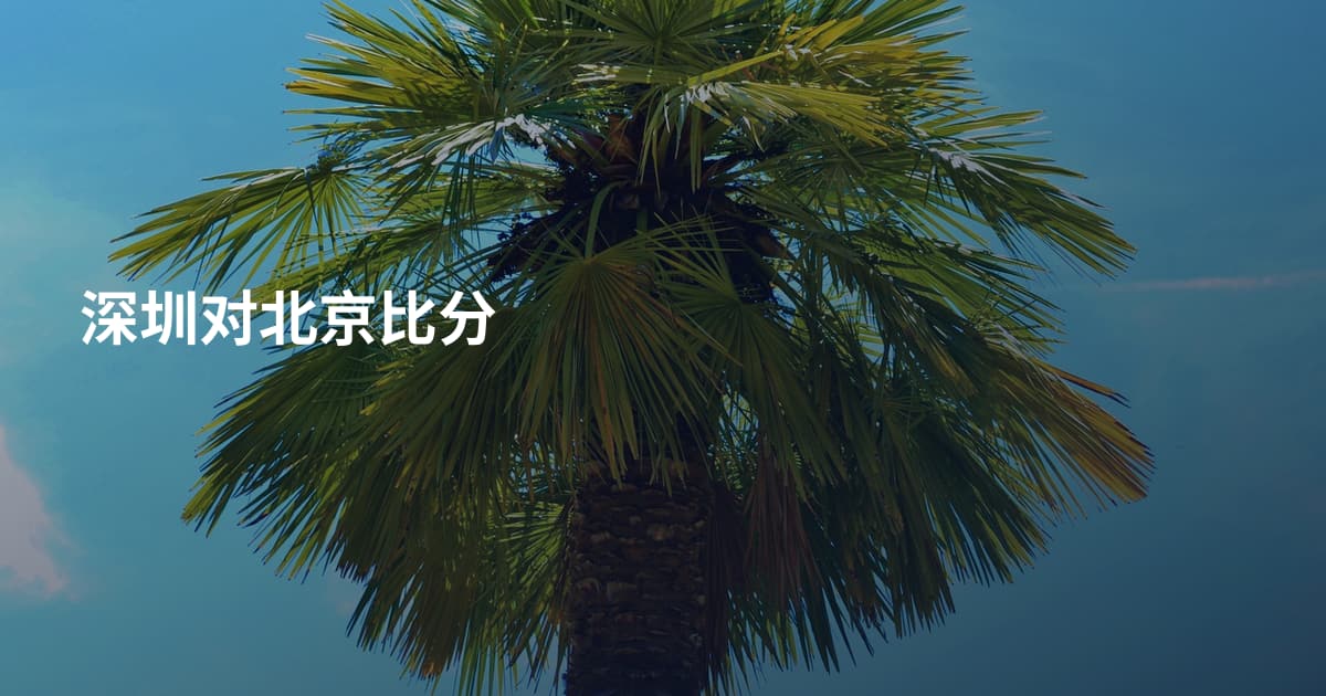 深圳对北京比分