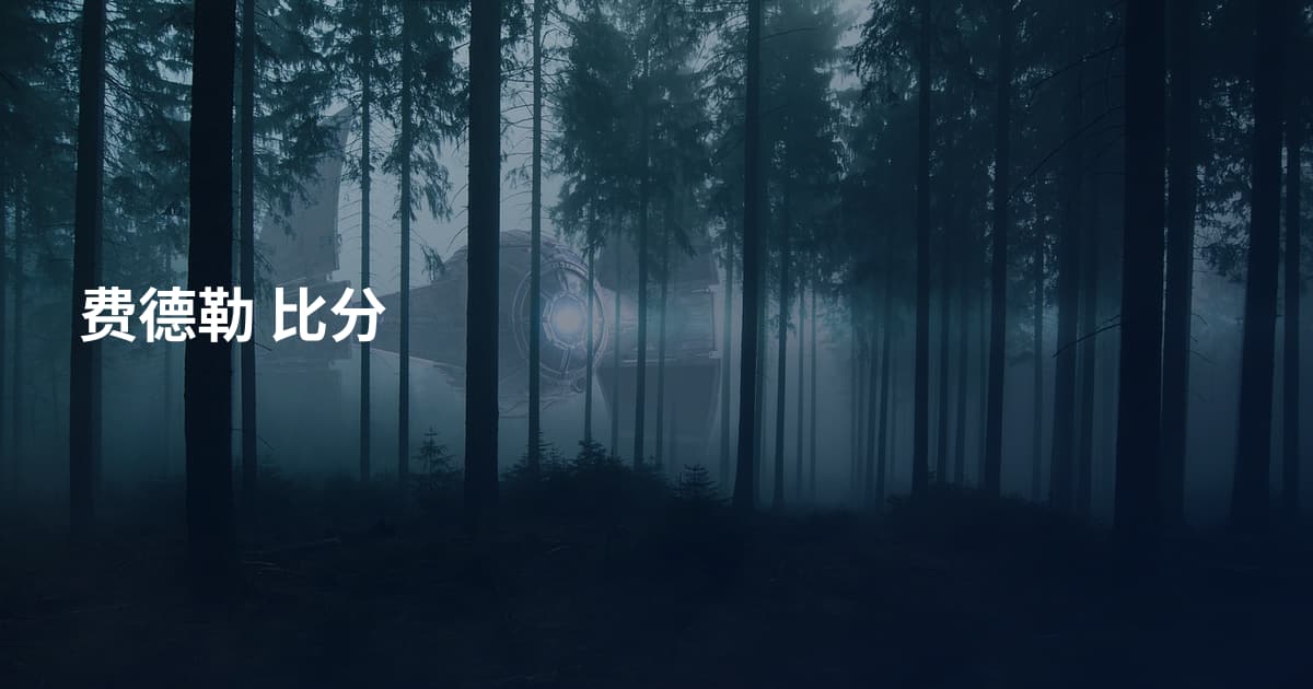 费德勒 比分