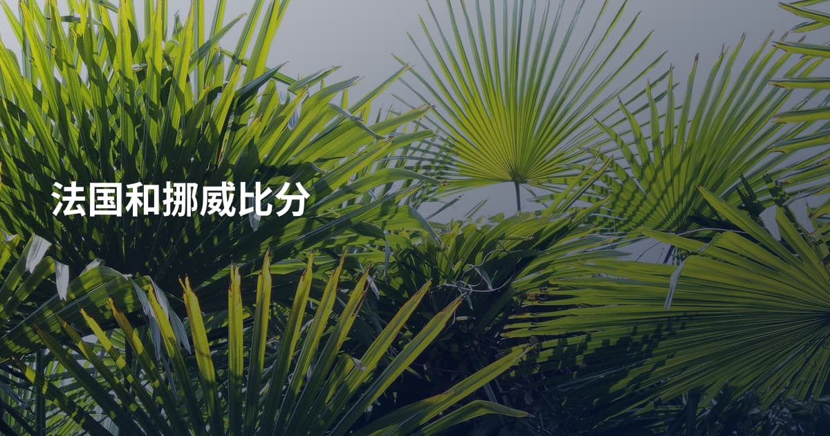法国和挪威比分