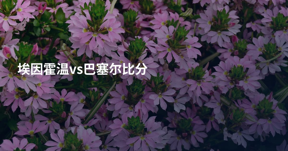 埃因霍温vs巴塞尔比分