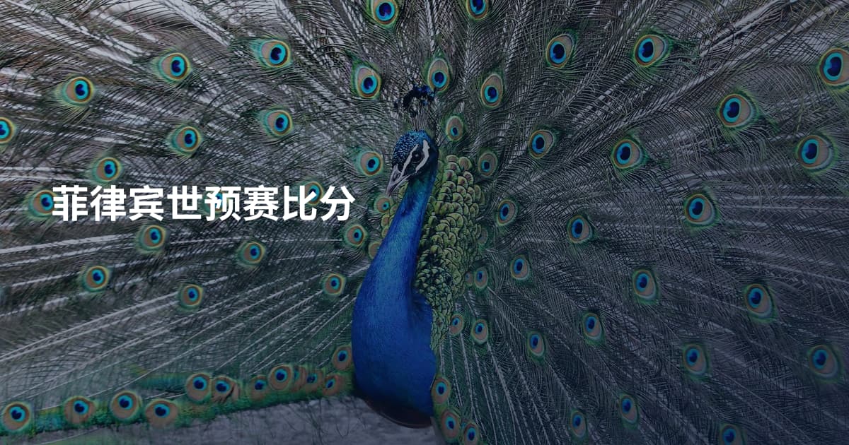 菲律宾世预赛比分