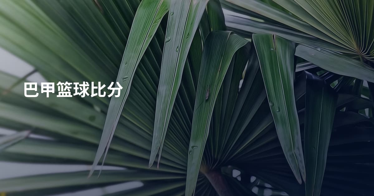 巴甲篮球比分