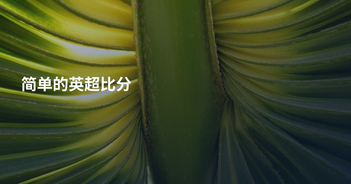 简单的英超比分