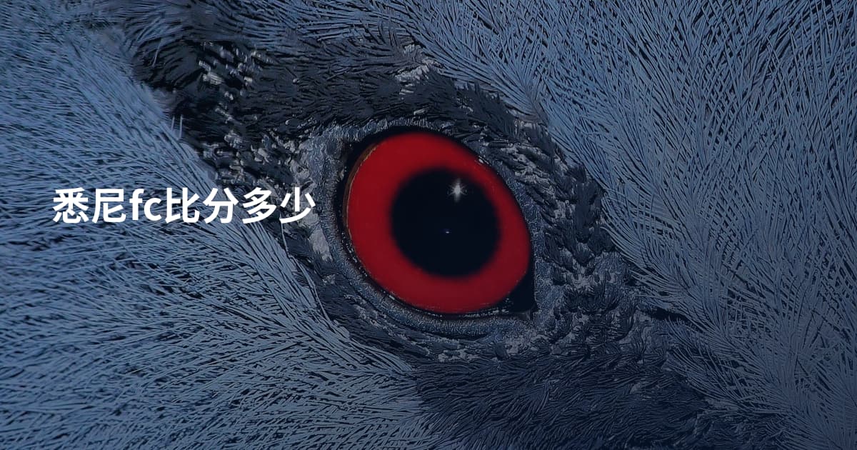 悉尼fc比分多少