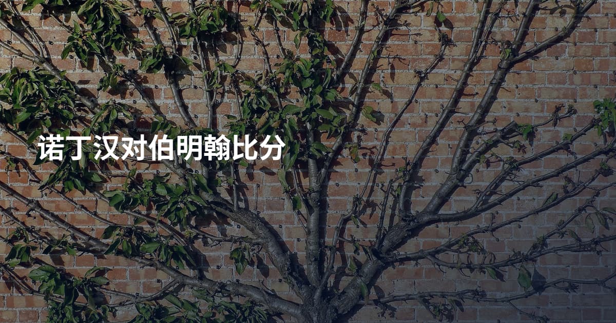诺丁汉对伯明翰比分