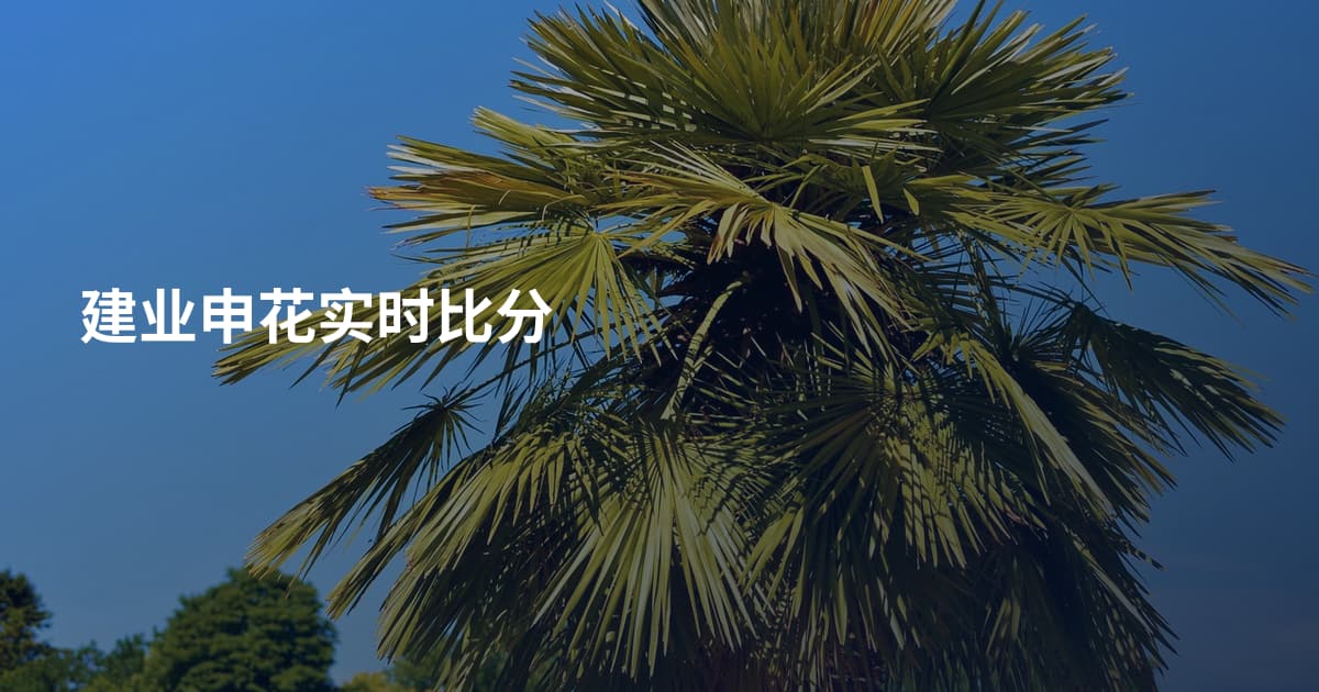 建业申花实时比分