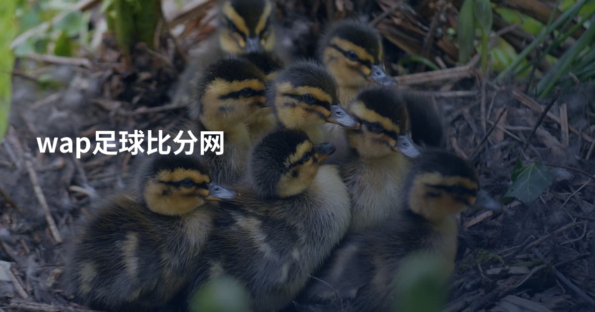 wap足球比分网