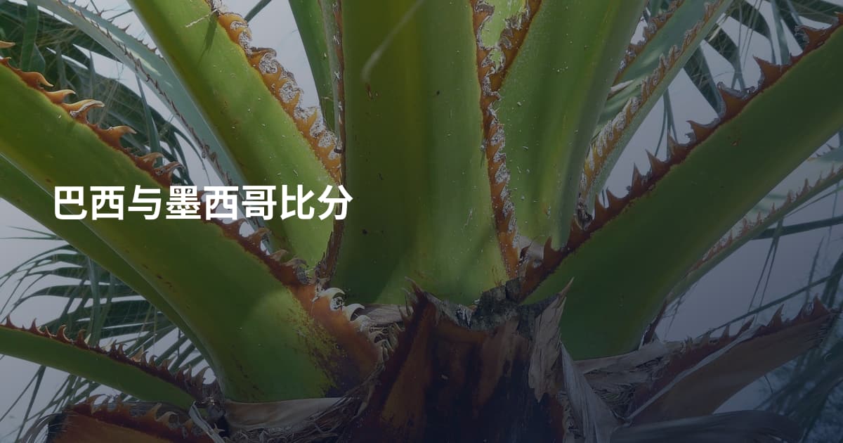 巴西与墨西哥比分