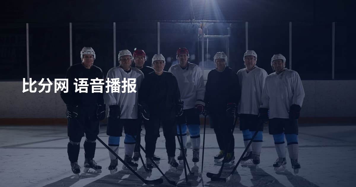 比分网 语音播报