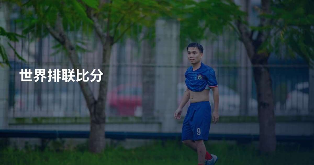 世界排联比分