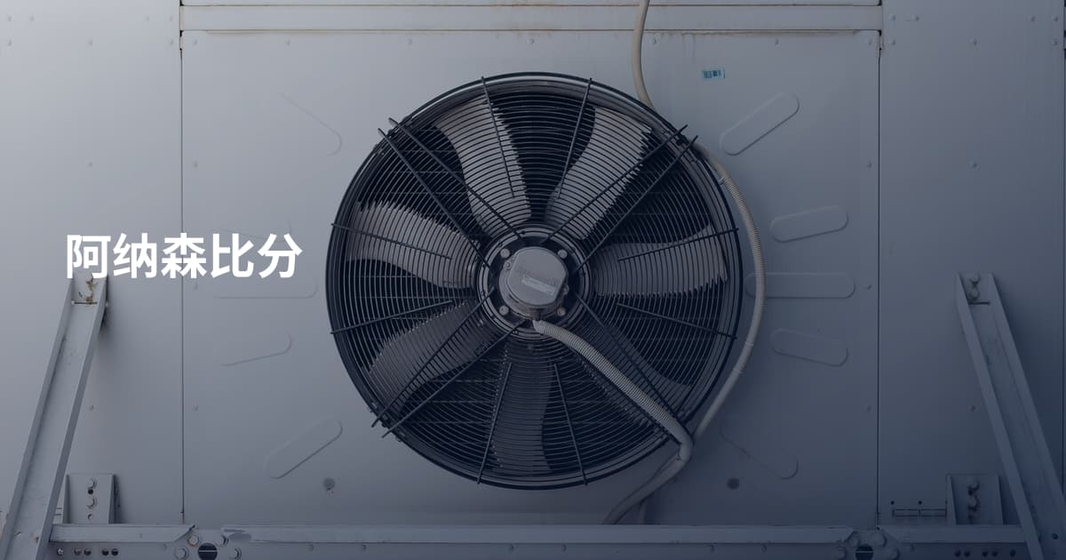 阿纳森比分