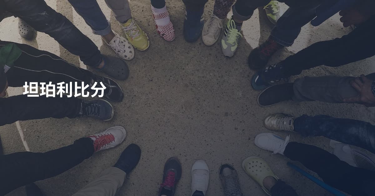 坦珀利比分