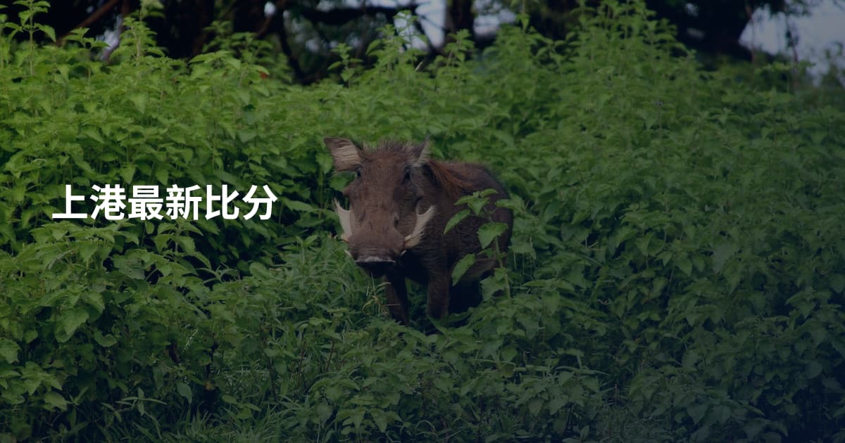 上港最新比分