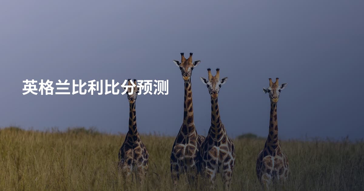 英格兰比利比分预测