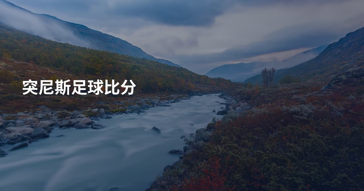 突尼斯足球比分